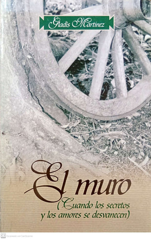 El muro (Cuando los secretos y los amores se desvanecen)