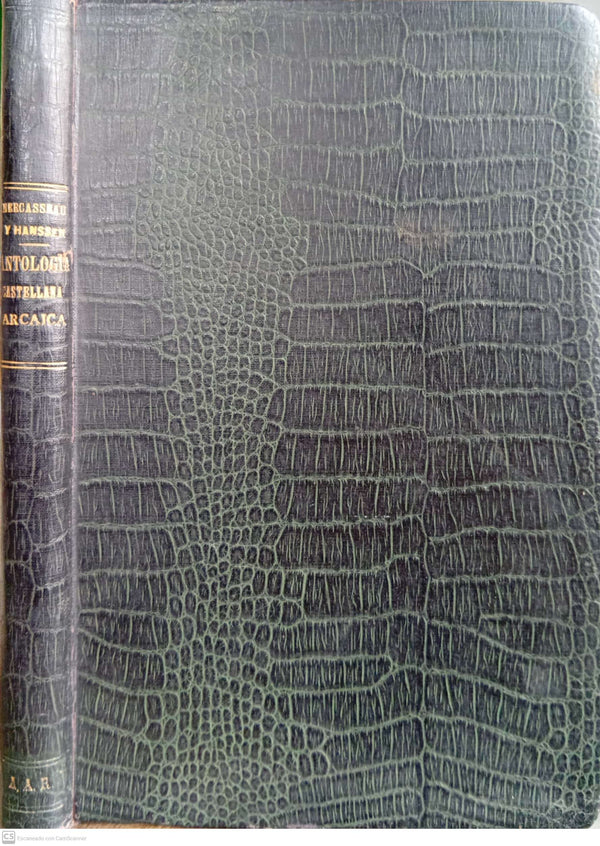 Antología Castellana Arcaica, o sea colección escogida de versos en prosa y verso del período anteclásico del idioma castellano