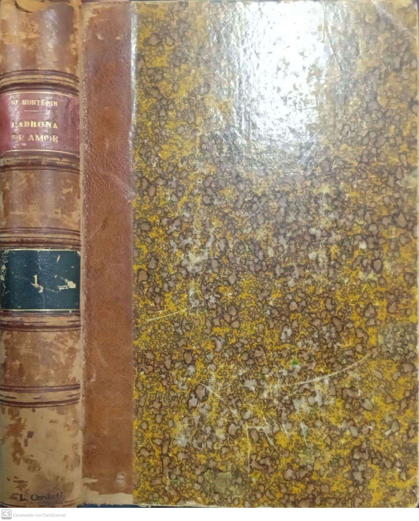 Ladrona de amor (novela inédita, tomo I