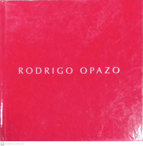 Rodrigo Opazo