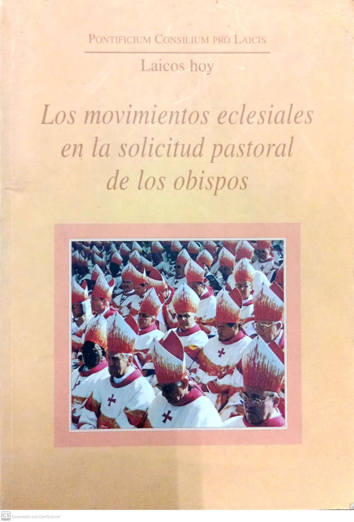 Los movimientos eclesiales en la solicitud pastoral de los obispos