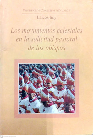 Los movimientos eclesiales en la solicitud pastoral de los obispos