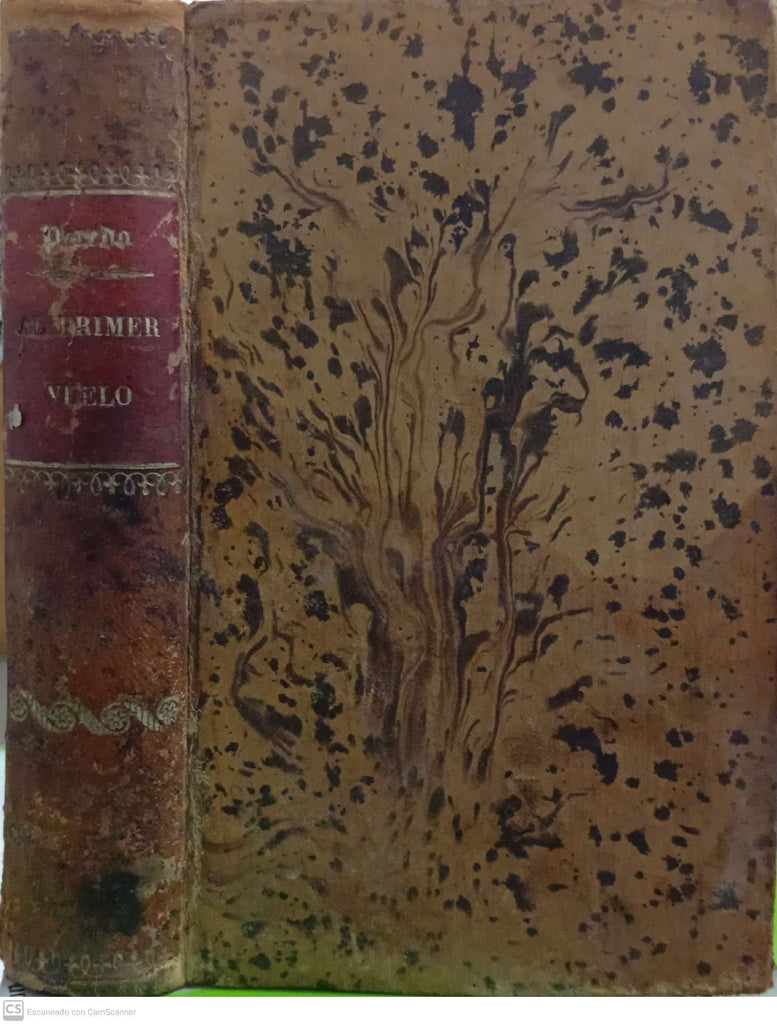 Al primer vuelo (Obras completas, tomo XVI)