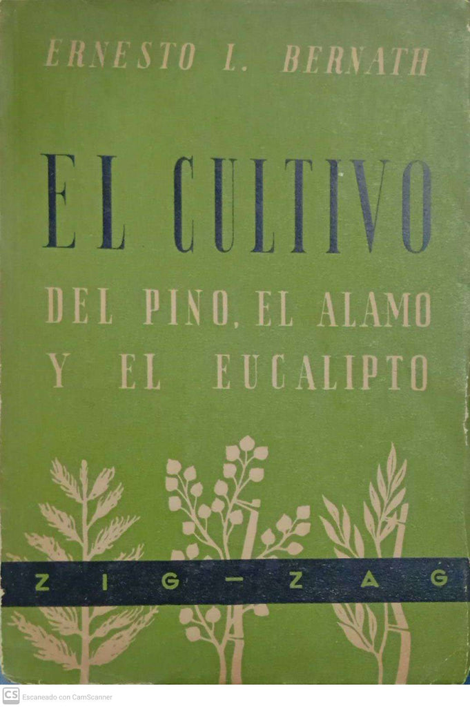 El cultivo del pino, el álamo y el eucalipto