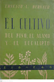 El cultivo del pino, el álamo y el eucalipto