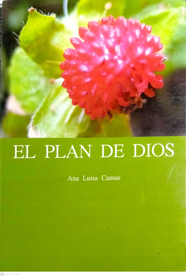 EL PLAN DE DIOS