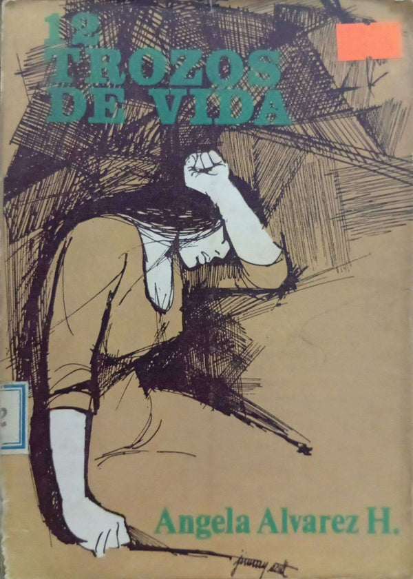 12 trozos de vida