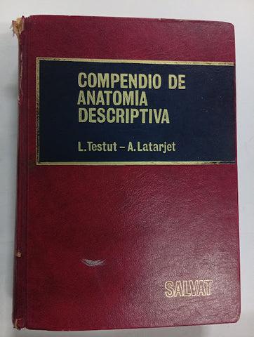 Compendio De Anatomia Descriptiva