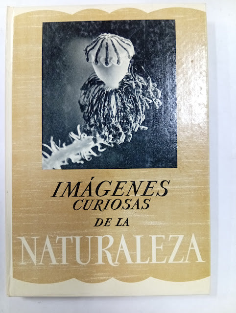 Imágenes Curiosas de la Naturaleza
