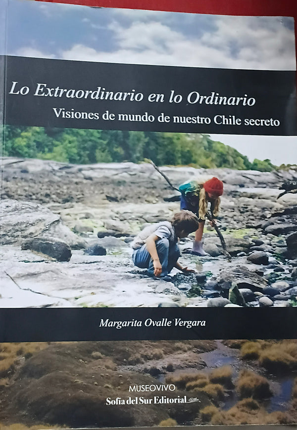 Lo extraordinario en lo ordinario