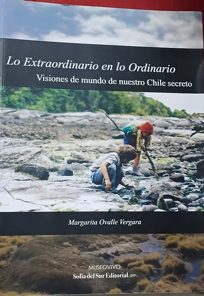 Lo extraordinario en lo ordinario