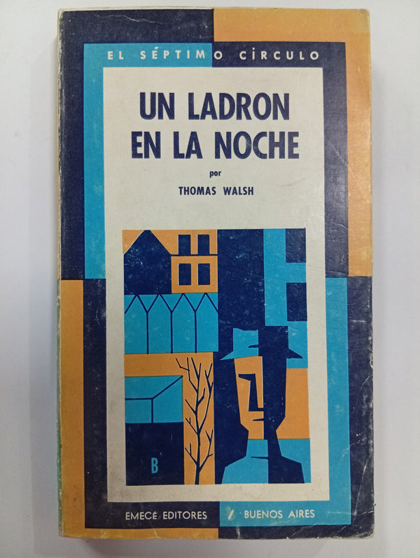 Un ladrón en la noche