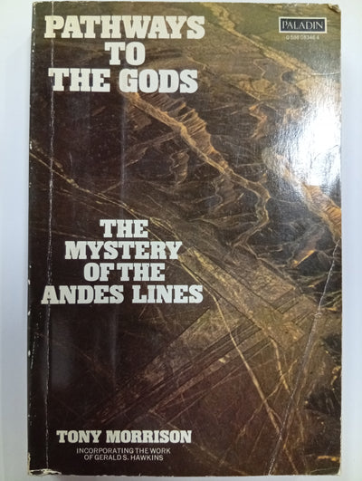 Pathways to the Gods: The Mystery of the Andes Lines