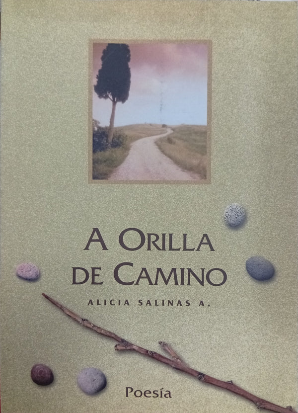 A Orilla de Camino