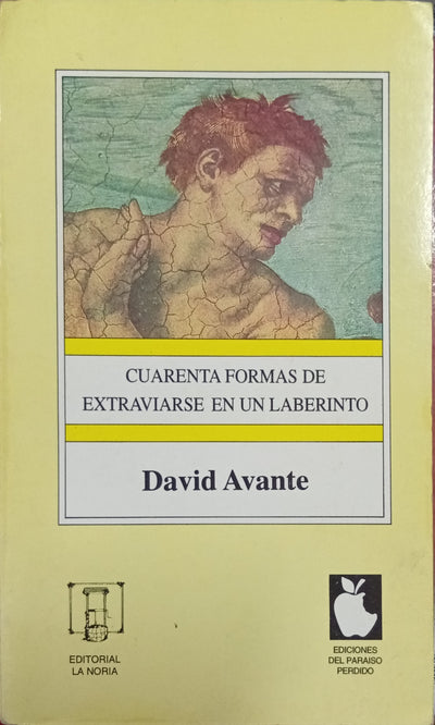 Cuarenta formas de extraviarse en un laberinto