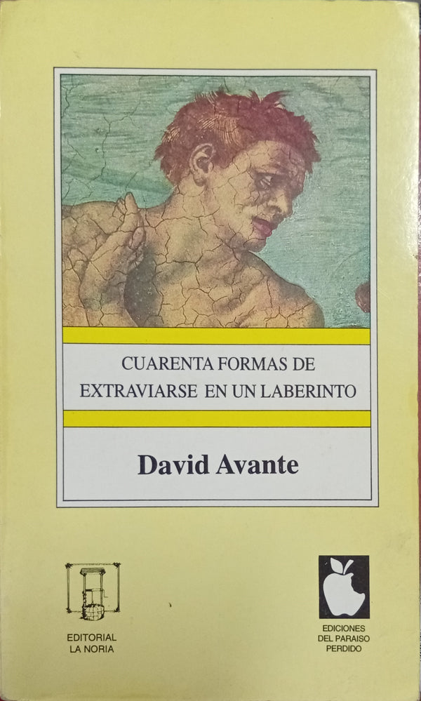 Cuarenta formas de extraviarse en un laberinto