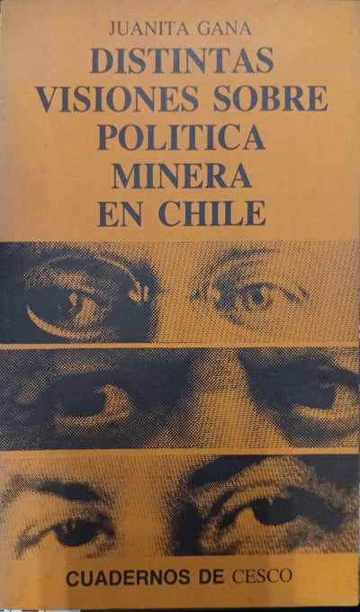 Distintas visiones sobre política minera en Chile