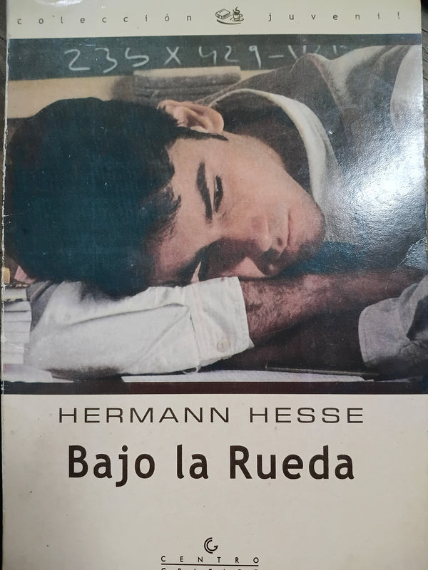 Bajo la rueda