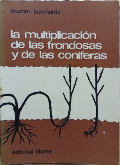 La multiplicación de las frondosas y de las coníferas