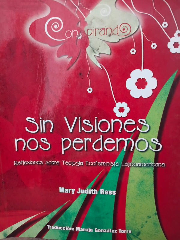 Sin visiones nos perdemos