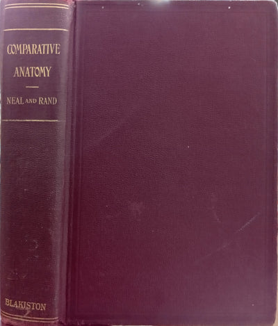 Comparative Anatomy