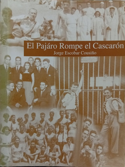 El pájaro rompe el cascarón