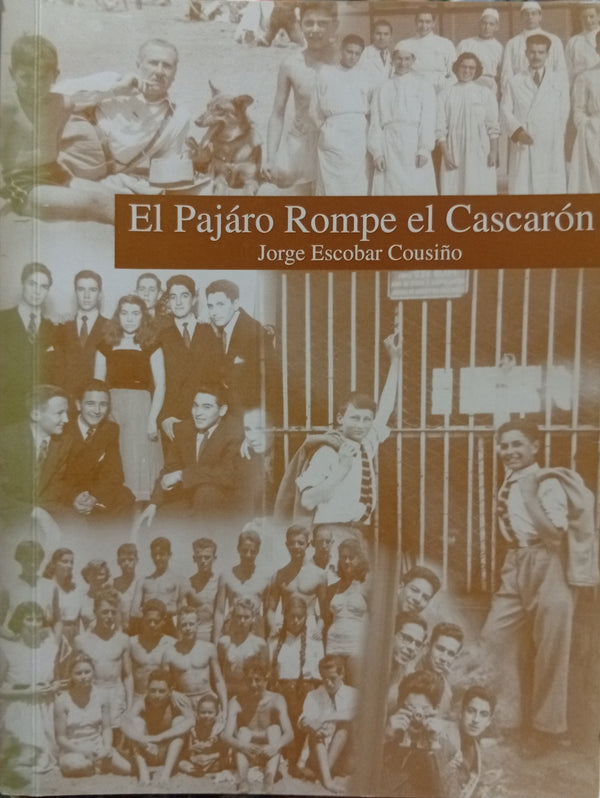 El pájaro rompe el cascarón
