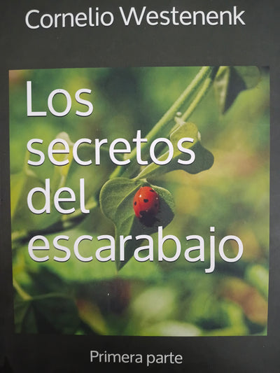 Los secretos del escarabajo: La asombrosa transformación de un colegio del siglo XXI (primera parte)