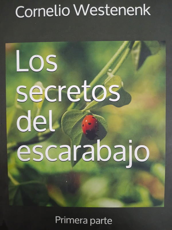 Los secretos del escarabajo: La asombrosa transformación de un colegio del siglo XXI (primera parte)