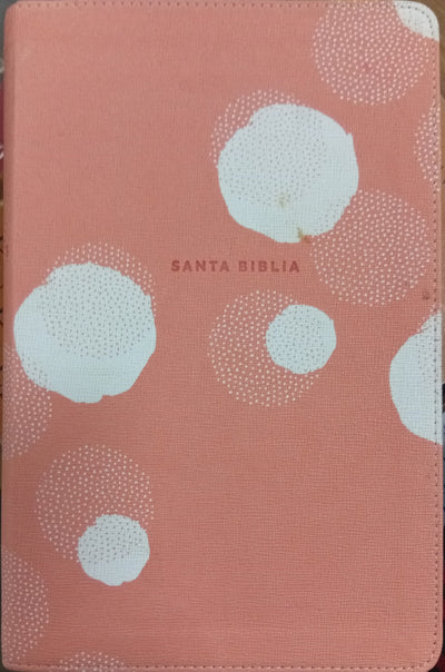 NBLA Biblia de Estudio para Jóvenes
