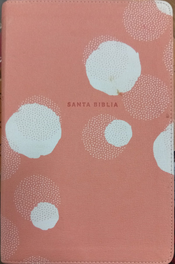NBLA Biblia de Estudio para Jóvenes
