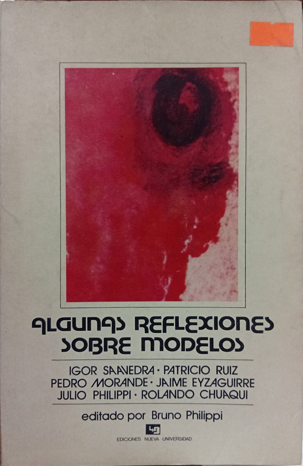 Algunas reflexiones sobre modelos
