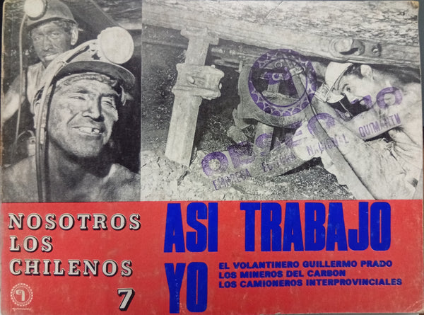 Así trabajo yo. Nosotros los Chilenos, N.º 7
