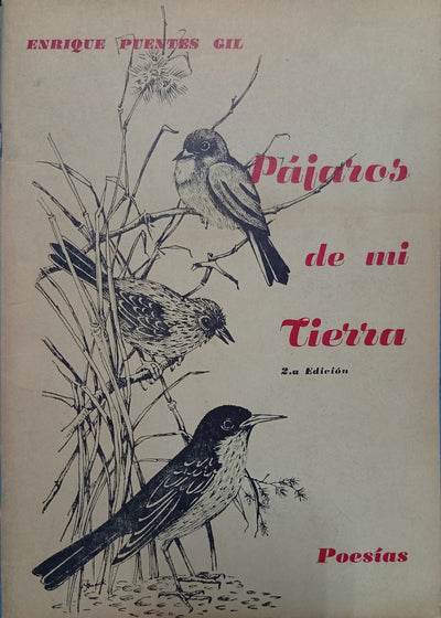 Pájaros de mi tierra
