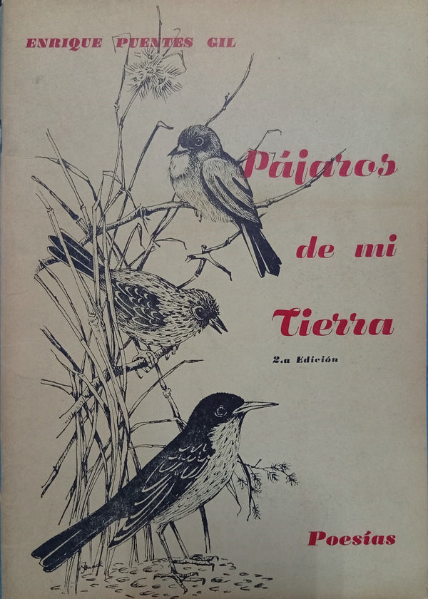 Pájaros de mi tierra