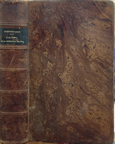 Historia de la literatura española: desde los orígenes hasta el año 1900