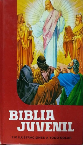 Biblia juvenil