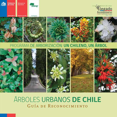 Árboles urbanos de Chile: programa de arborización