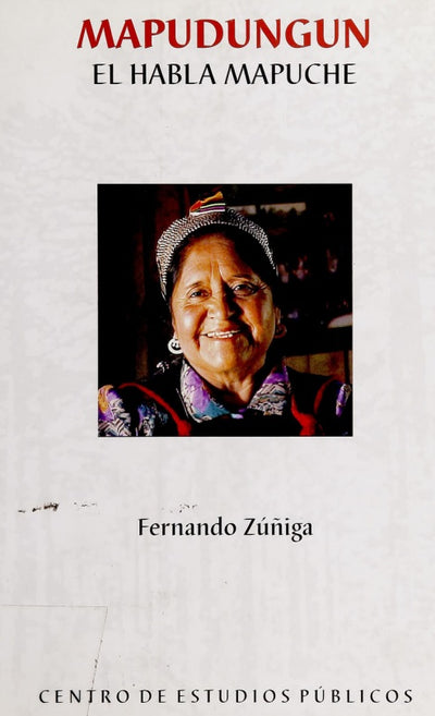 Mapudungun: el habla mapuche : introducción a la lengua mapuche