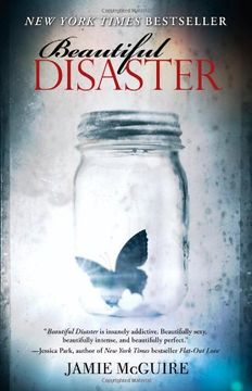 Beautiful Disaster: A Novel (Beautiful Disaster Series)