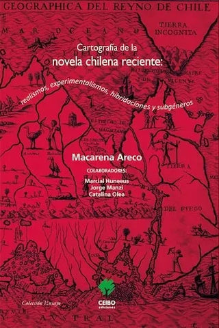 Cartografia de la novela chilena reciente