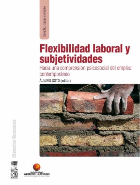 Flexibilidad Laboral Y Subjetividades: Hacia Una Comprension Psicosocial Del Empleo Contemporaneo