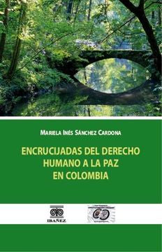 Encrucijadas del Derecho Humano a la Paz en Colombia. Especial referencia al caso colombiano