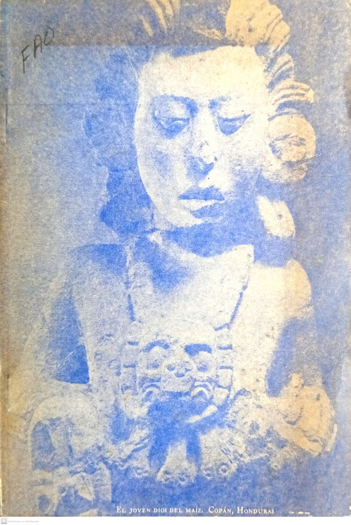 Civilizacion arquelogica indigena e indicios de la cultura hispanica en america