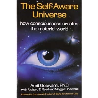The Self-Aware Universe: How Consciousness Creates the Material World