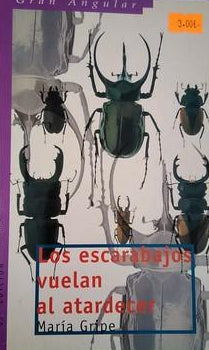Los Escarabajos Vuelan Al Atardecer