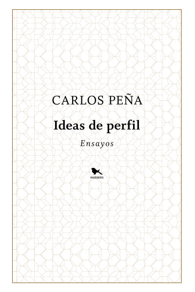 Ideas De Perfil