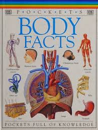 Body Facts (Serie: Pockets / Pockets Full of Knowledge)