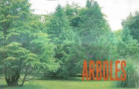 Árboles