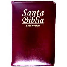 Santa Biblia – Letra Grande